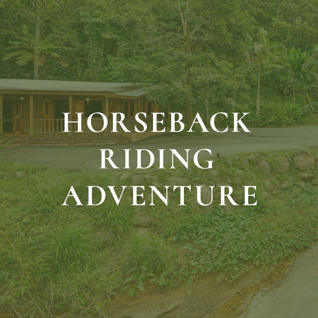 Horseback Riding Adventure